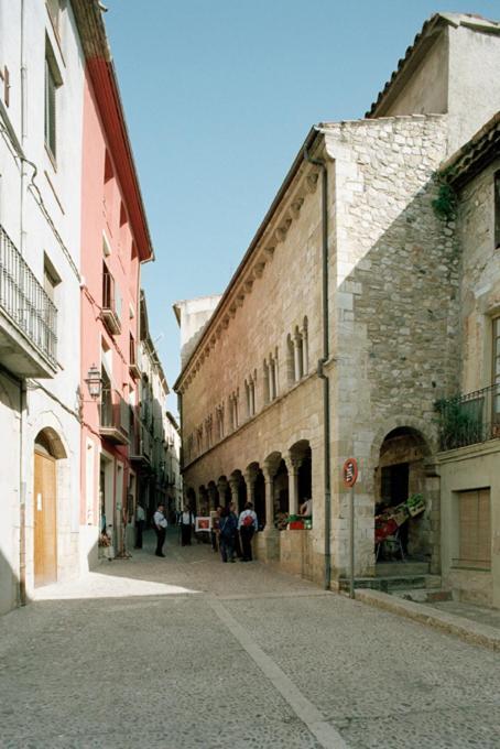 Apartamentos Saltarel-Lo Besalú Екстериор снимка